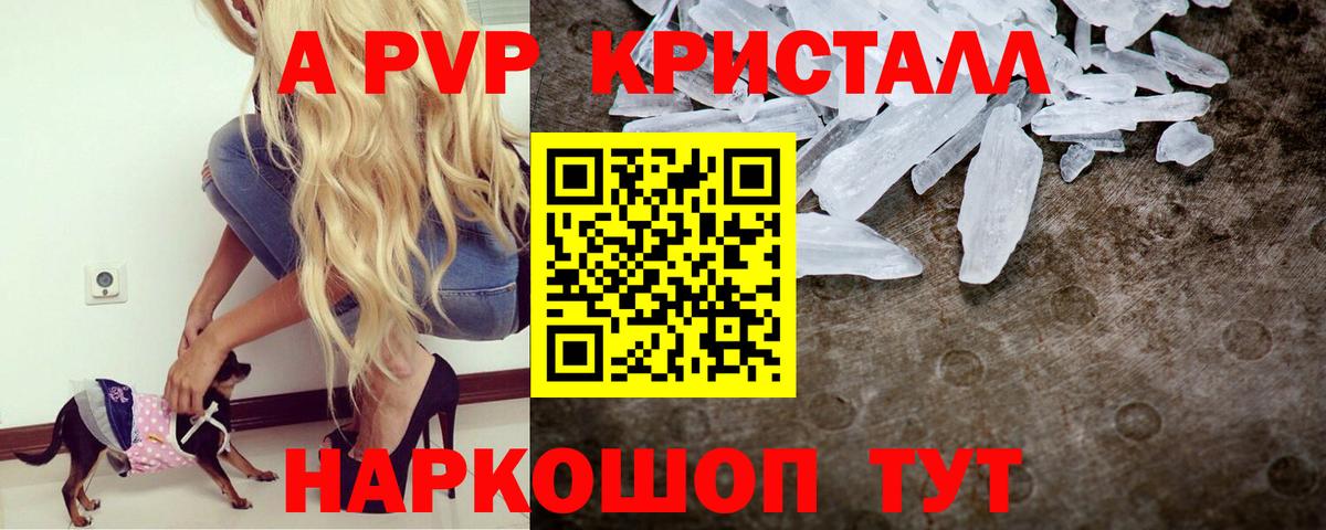 APVP СК Ухта