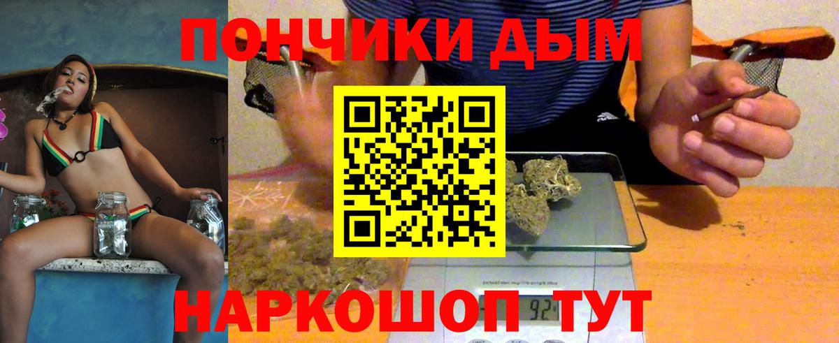 МЕФ Ухта